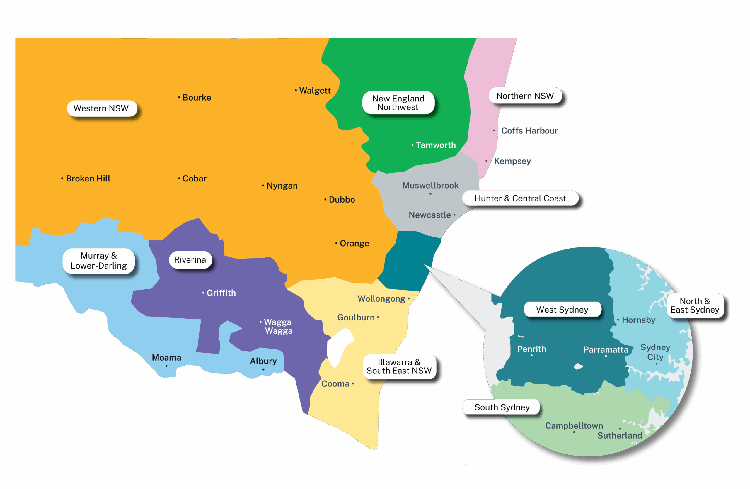 Map of the different REP regions in NSW.